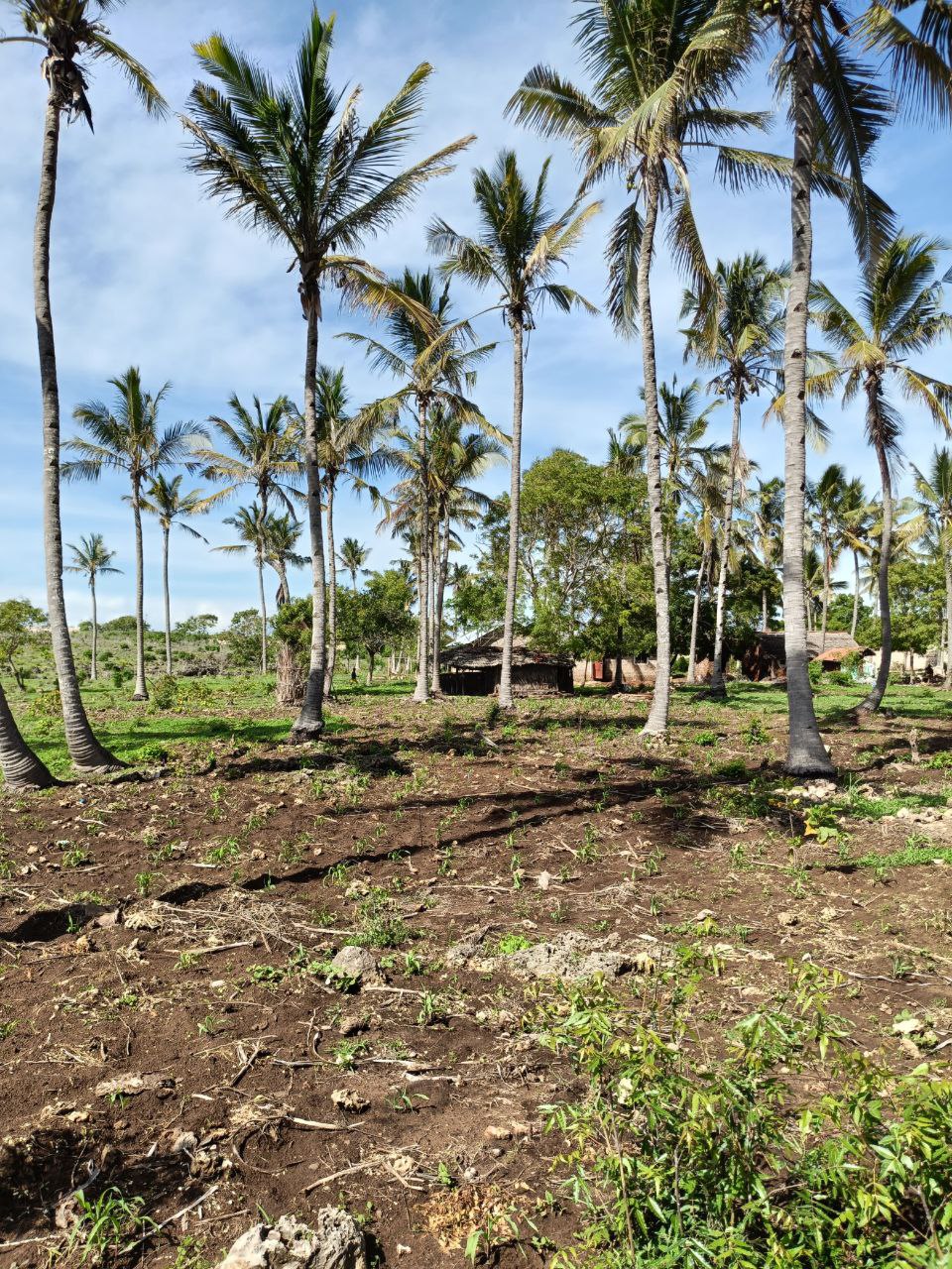 Land property in Kilifi Town - gallery image 2