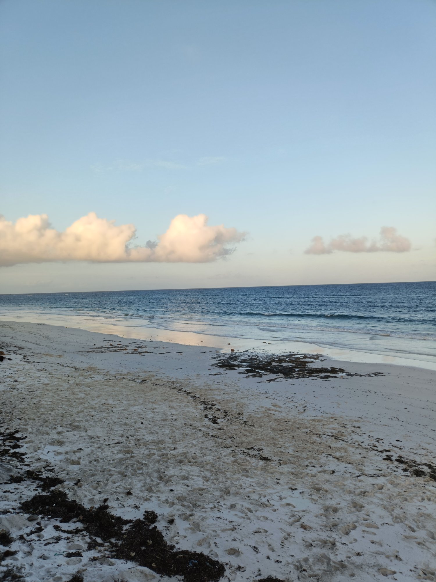 Land property in Kilifi Town - gallery image 4