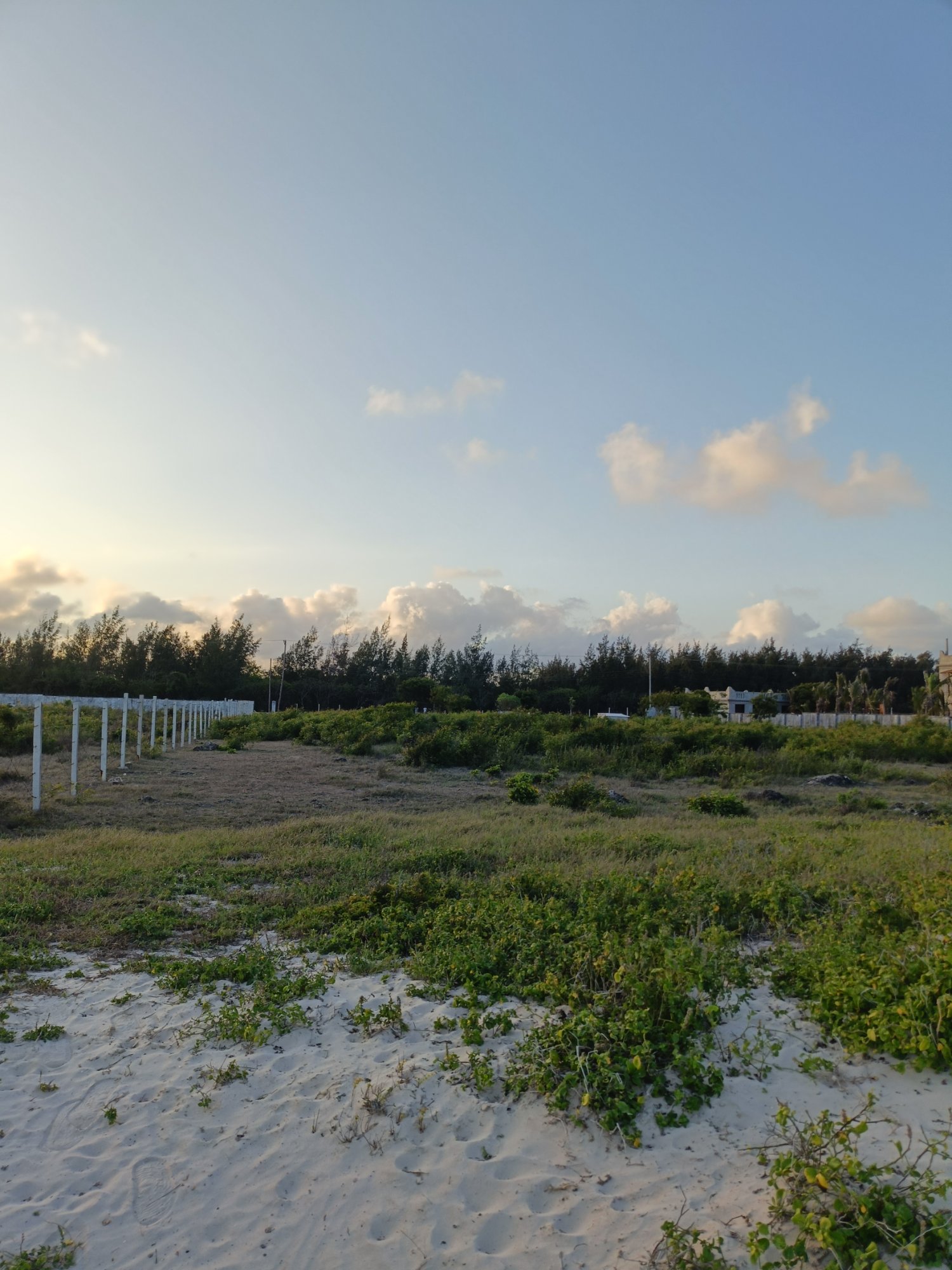 Land property in Kilifi Town - gallery image 4