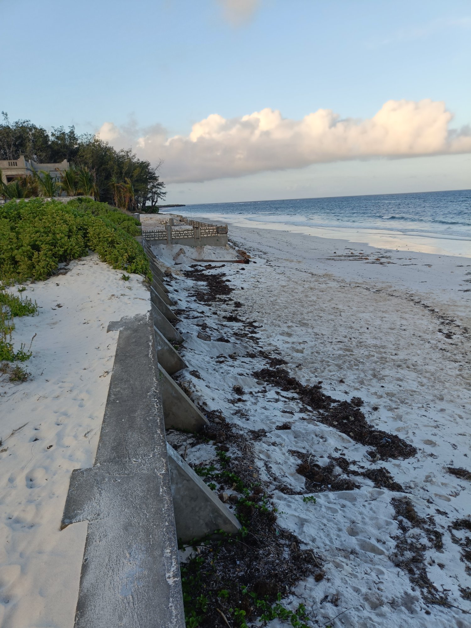 Land property in Kilifi Town - gallery image 2