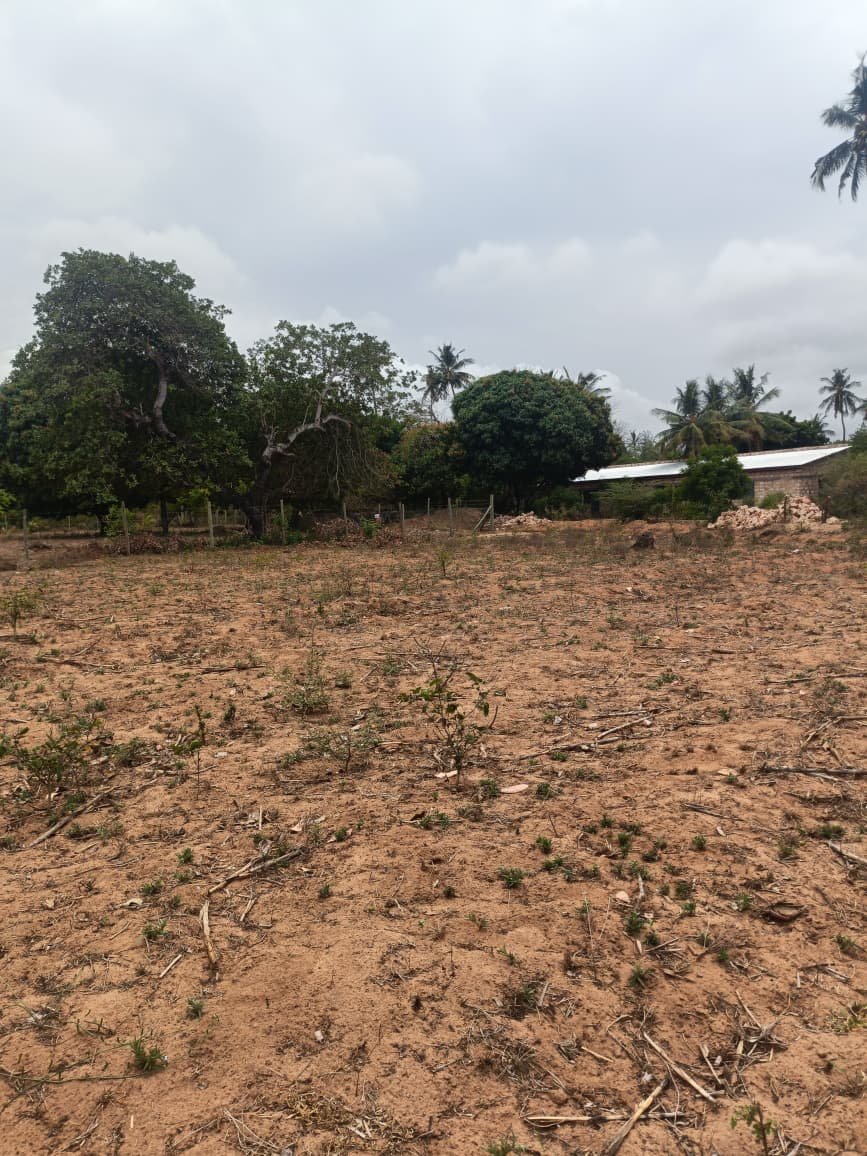 Land property in Kilifi Town - gallery image 2