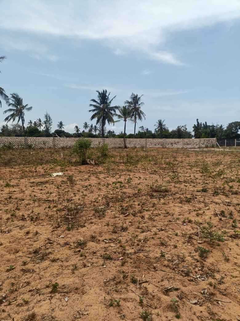 Land property in Kilifi Town - Prime 50x100 Plots for Sale in Majaoni – Only KSh 900,000