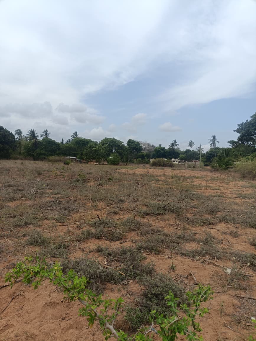 Land property in Kilifi Town - gallery image 2