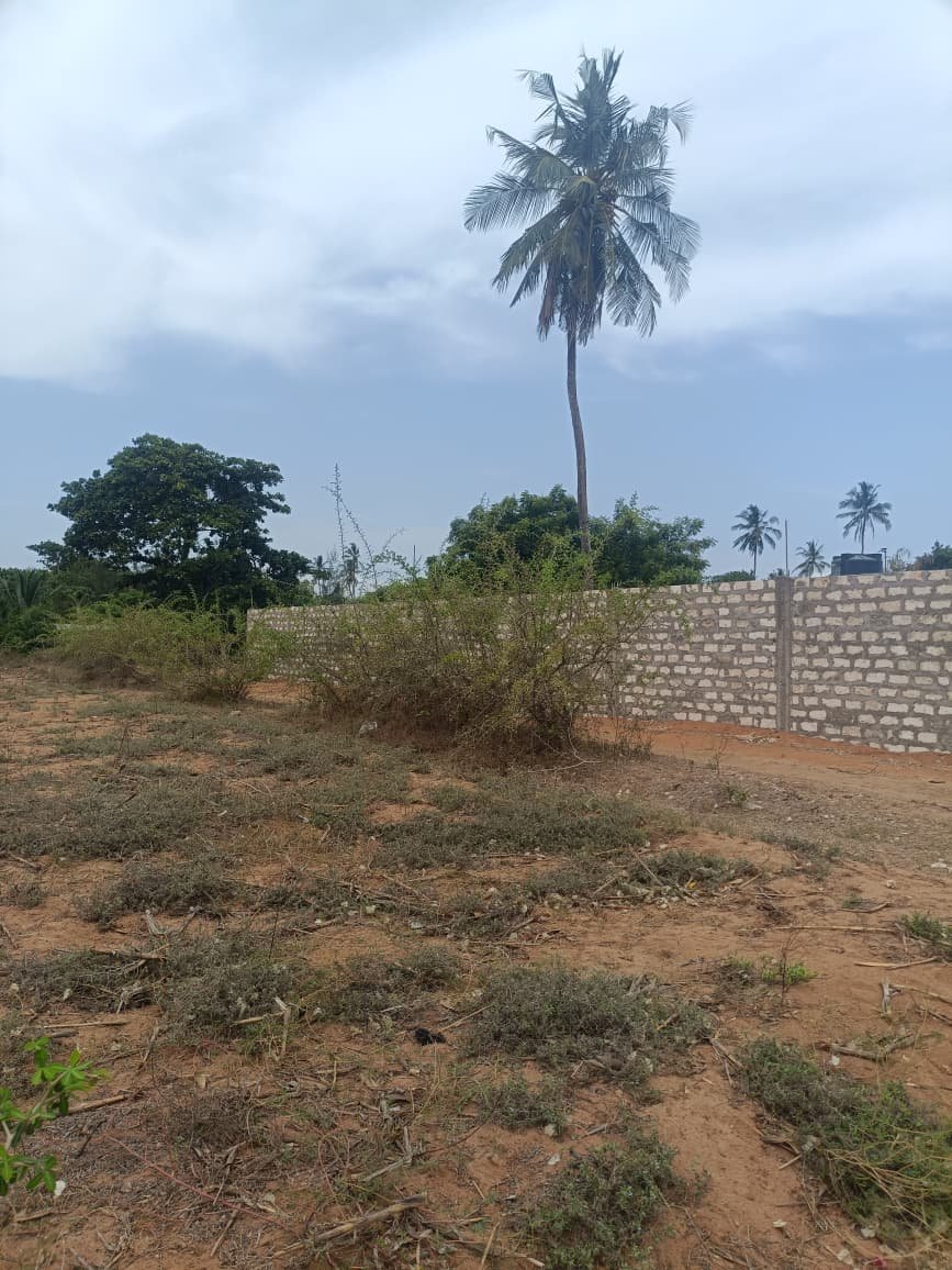 Land property in Kilifi Town - gallery image 4