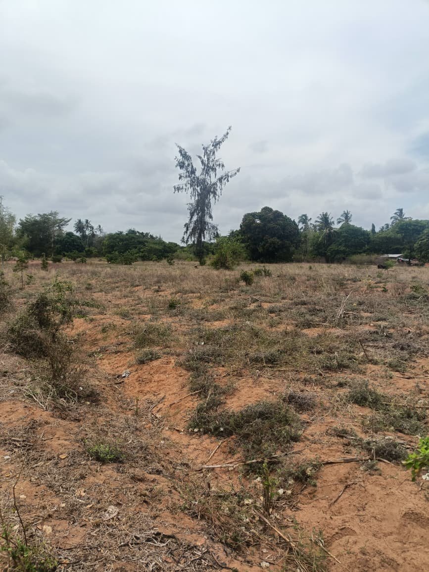 Land property in Kilifi Town - gallery image 3