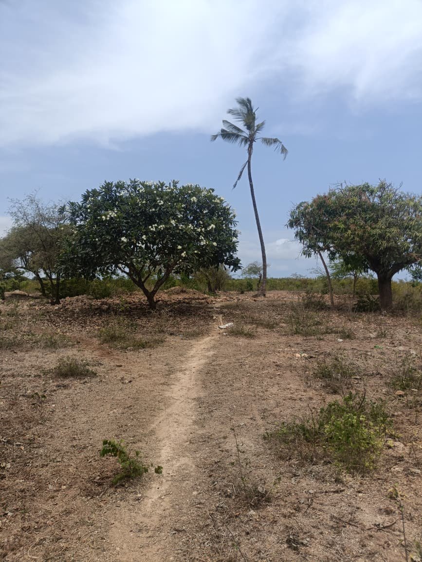 Land property in Kilifi Town - Affordable 1/8 Acre Plots for Sale in Tezo, Kilifi