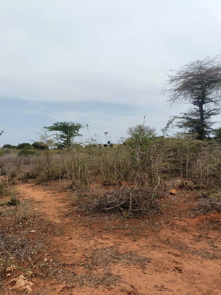 Land property in Kilifi Town - gallery image 3