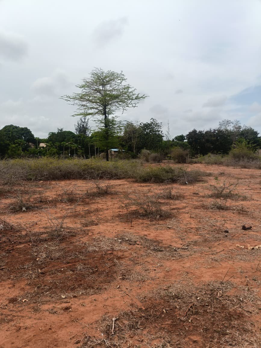 Land property in Kilifi Town - 3 Acres Land for Sale in Mtondia, Kilifi – Prime Investment Plots