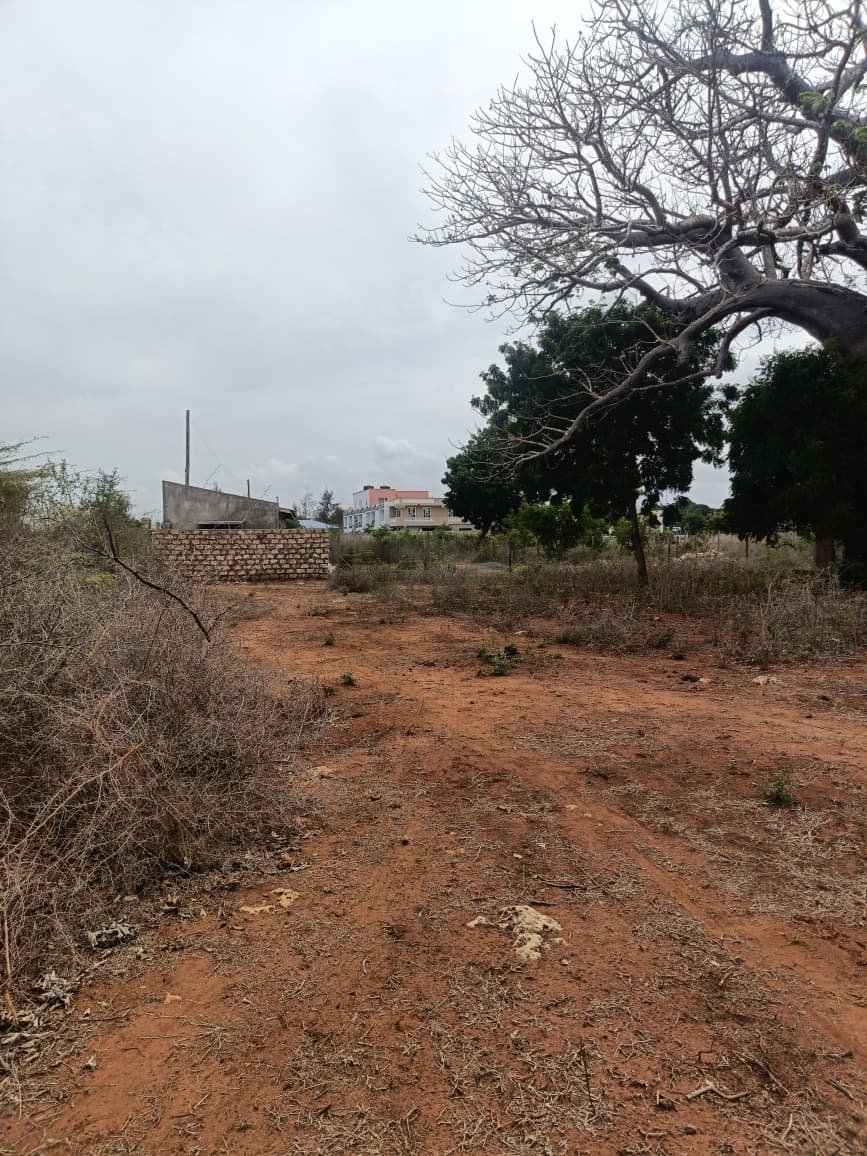 Land property in Kilifi Town - gallery image 4
