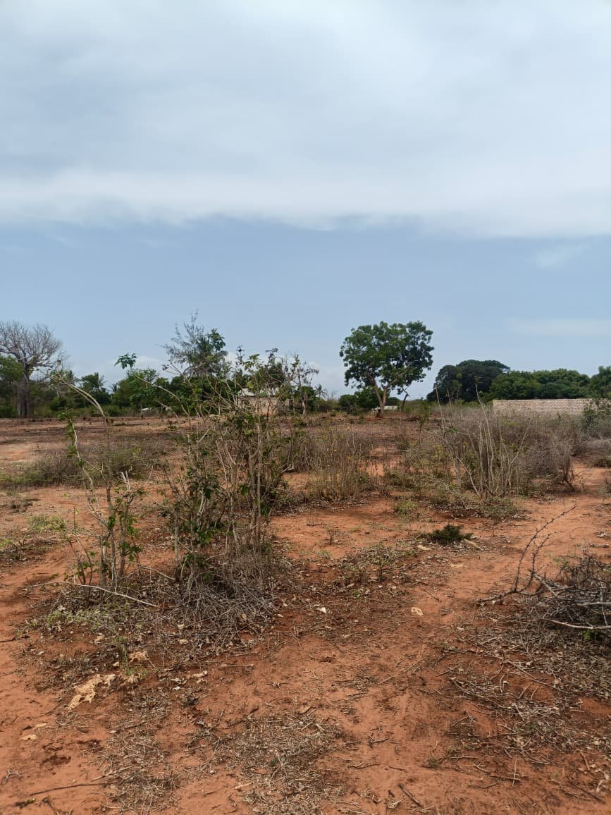 Land property in Kilifi Town - gallery image 2